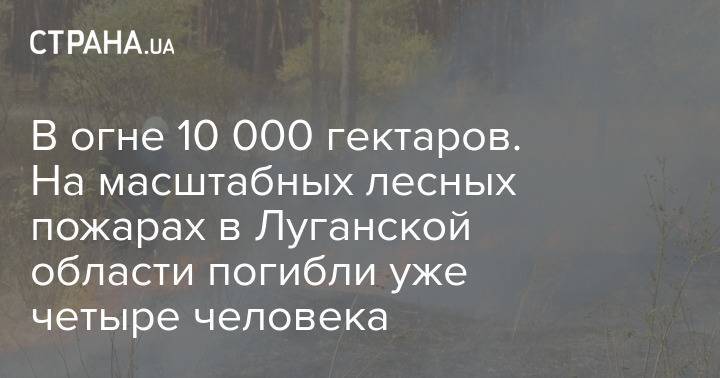 В огне 10 000 гектаров. На масштабных лесных пожарах в Луганской области погибли уже четыре человека