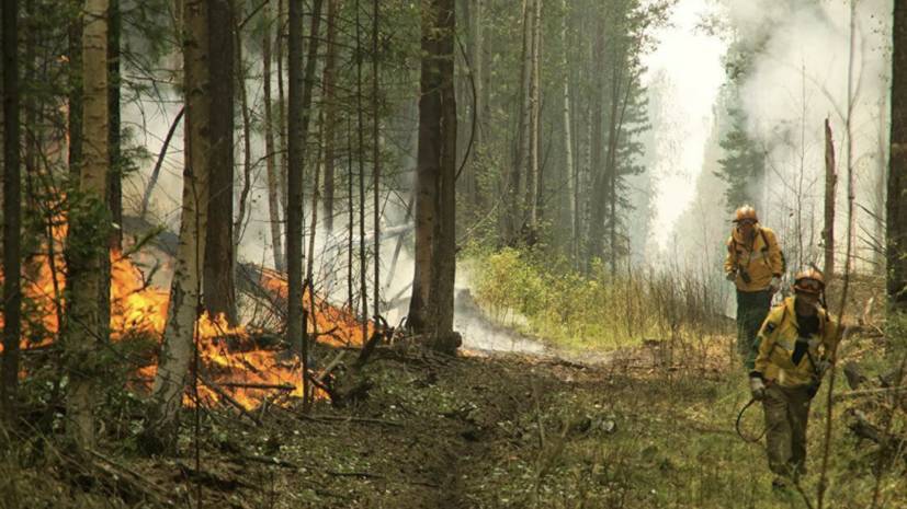 Пожарные из шести регионов направлены на помощь в Воронежскую область