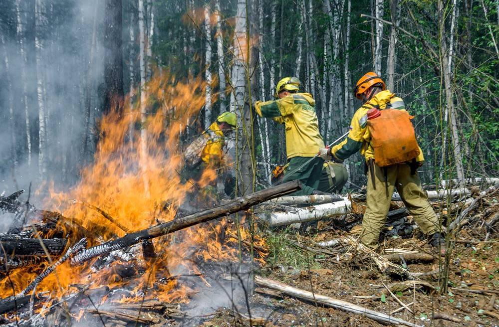 В двух регионах России тушат крупные природные пожары