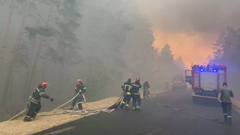 В Луганской области из-за лесных пожаров погибли четыре человека