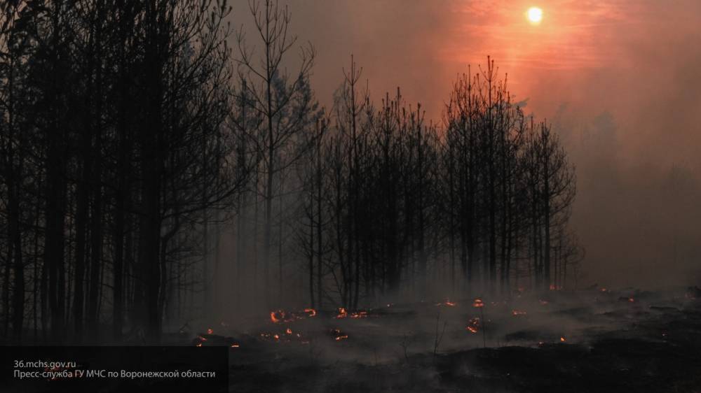 Пожарные шести регионов прибыли на помощь коллегам в Воронежской области