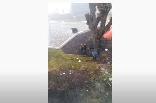 В Челябинске убрали новый газон возле стелы на месте бывшего танкового училища