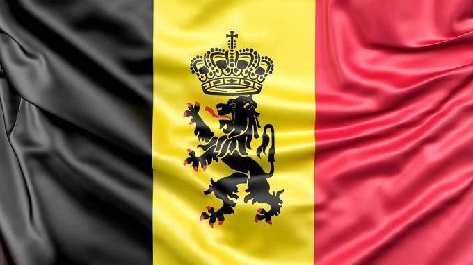 Новое правительство Бельгии во главе с Александером Де Кроо приведено к присяге