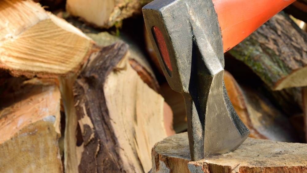 В Финляндии отреагировали на решение Путина о запрете вывоза древесины