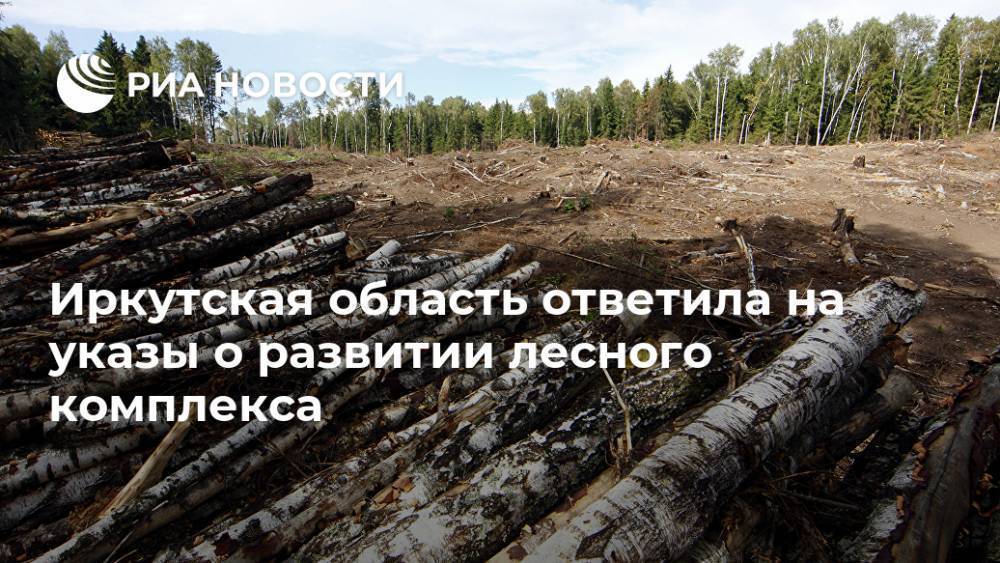 Иркутская область ответила на указы о развитии лесного комплекса