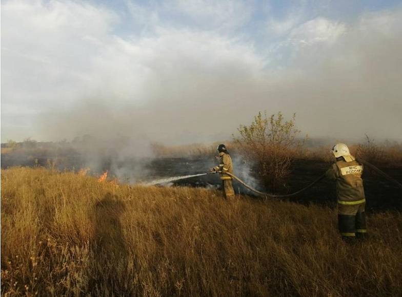 Пожары в Ростовской области тушат 700 человек, в том числе пожарные из соседних областей и краев