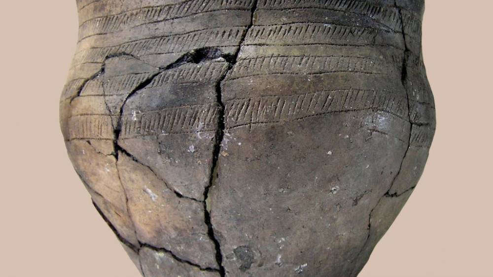 Южноуральцы увидят первые археологические находки с территории Челябинской области