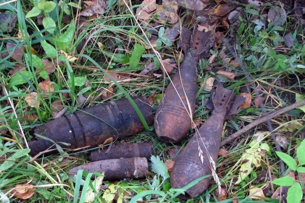 В Смоленской области опять найдены мины и снаряды времен Второй мировой