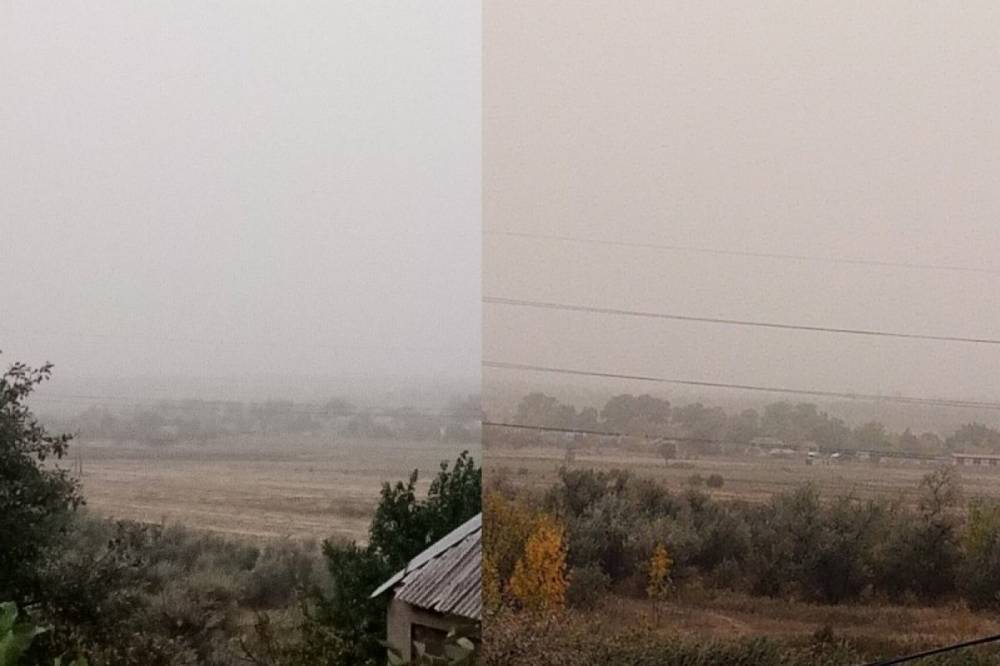 В Донецкой области из-за засухи и проблем с почвой поднялась пылевая буря