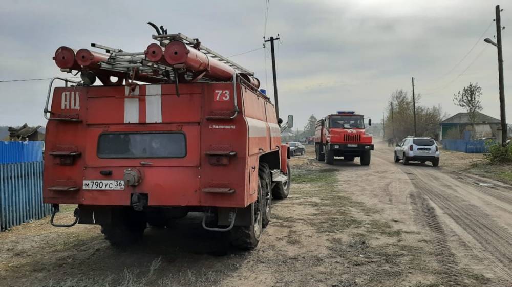 Площадь пожаров в трёх районах Воронежской области превысила 356 га
