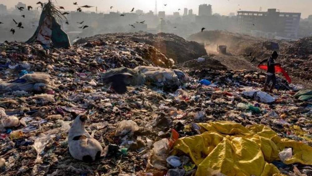 Экологи-активисты планируют провести исследование по загрязнению пластиковыми отходами в РК