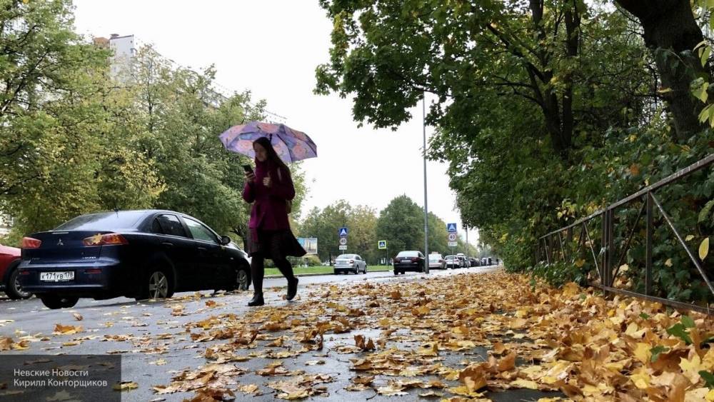 Дождливая неделя ожидается в нескольких городах России