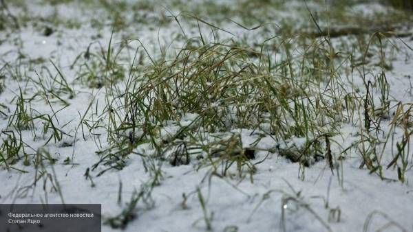 Специалисты устраняют последствия ночного снегопада в Иркутске