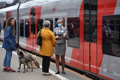 Эксперты назвали способы сэкономить при покупке билета на поезд