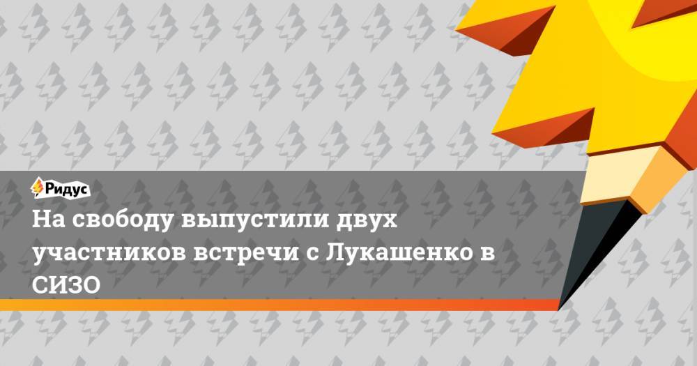 На свободу выпустили двух участников встречи с Лукашенко в СИЗО