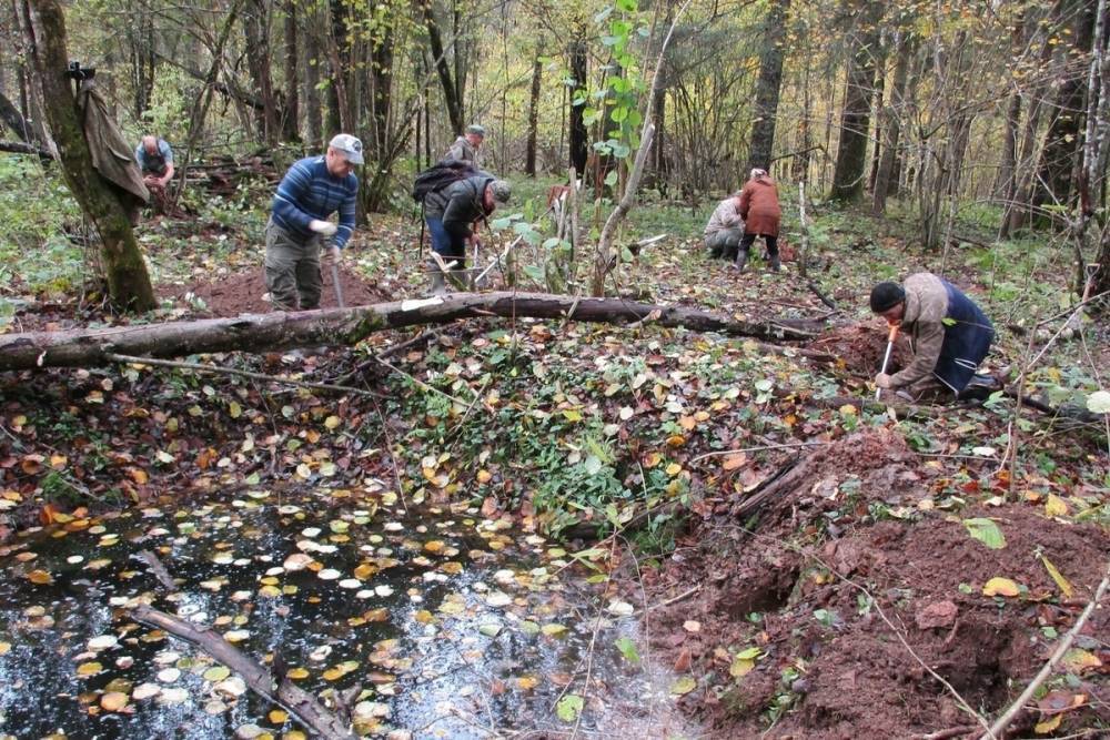 В лесу в Тверской области нашли воронку на месте крушения военного самолета