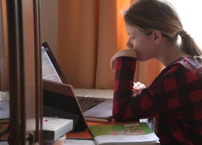 Почти 120 классов переведены на удаленку в школах Краснодара из-за вспышек коронавируса