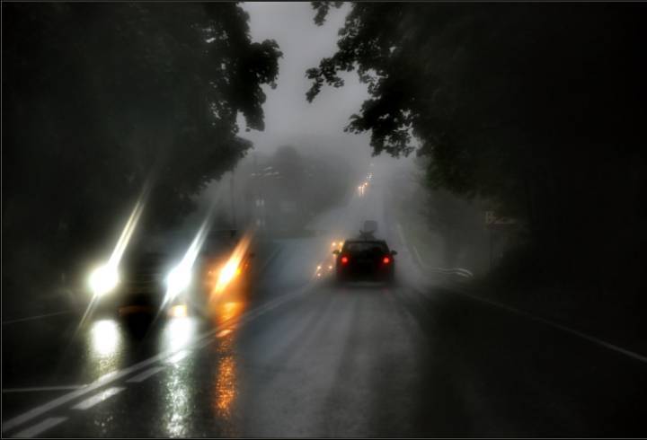 В Ленобласти объявили штормовое предупреждение из-за густого тумана