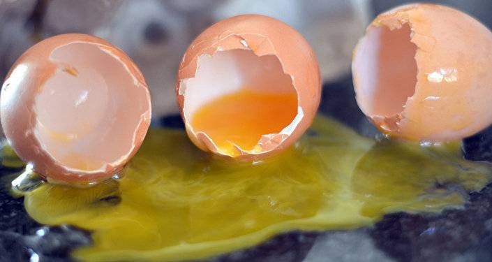 Снова сальмонелла: Госполиция нагрянула с проверкой на фабрики производителя яиц с Украины
