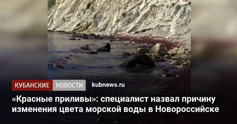 «Красные приливы»: специалист назвал причину изменения цвета морской воды в Новороссийске
