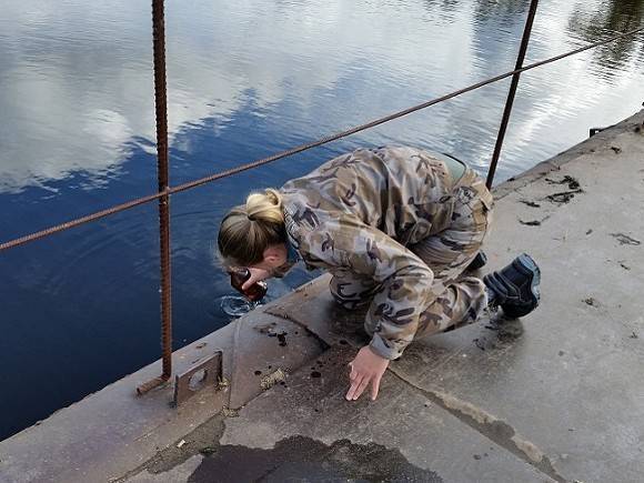Три ведомства не смогли найти причину появления сине-зеленой слизи на реки Иртыш