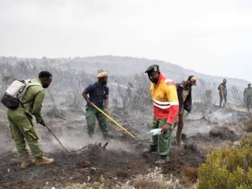 На горе Килиманджаро в Танзании возник масштабный пожар