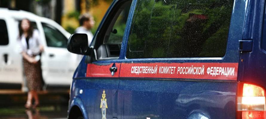 Очередной расчленитель задержан в Петербурге
