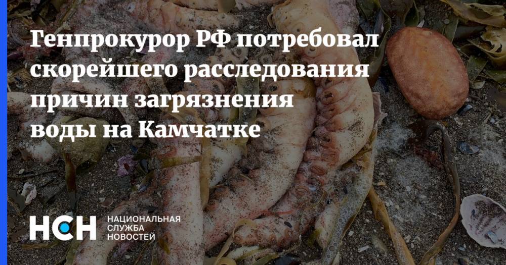 Генпрокурор РФ потребовал скорейшего расследования причин загрязнения воды на Камчатке