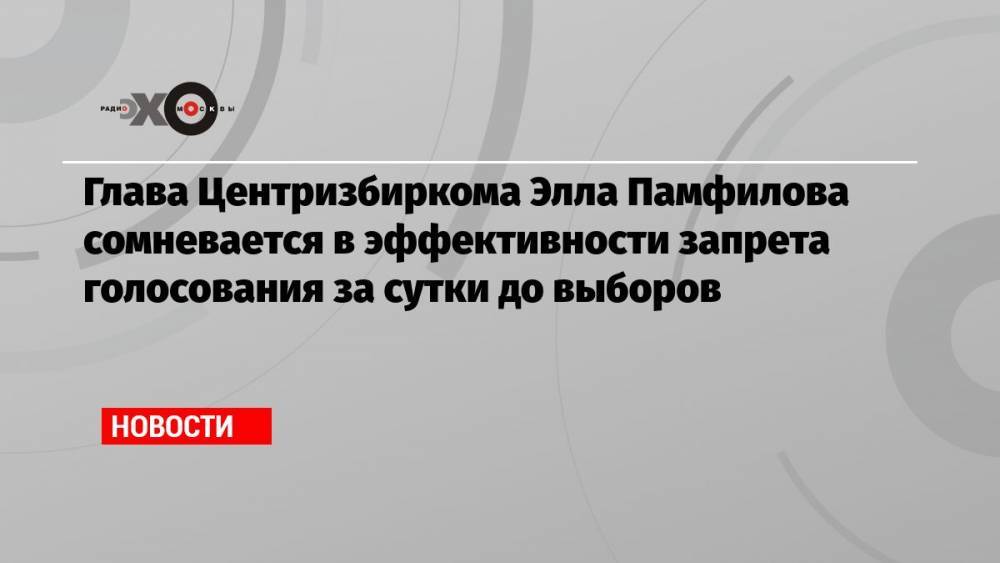 Глава Центризбиркома Элла Памфилова сомневается в эффективности запрета голосования за сутки до выборов