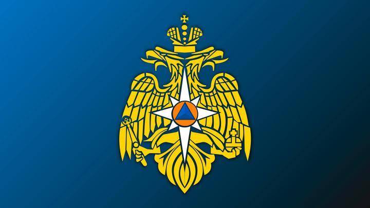 МЧС России внесет изменения в закон «Об аварийно-спасательных службах и статусе спасателей»