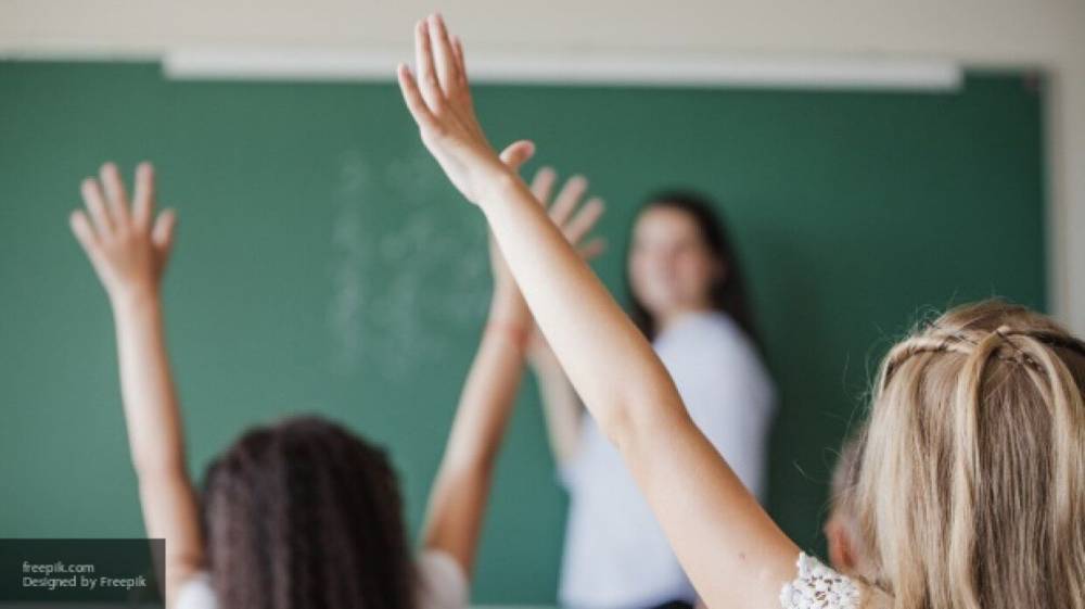 Депутат Госдумы предложил ввести уроки этикета для школьников