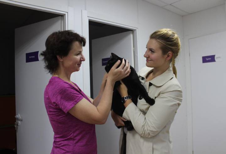 Во Всеволожском районе открылся новый ветеринарный участок