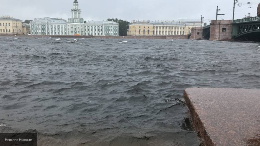 Пакеты с человеческими останками выловили из реки в Петербурге