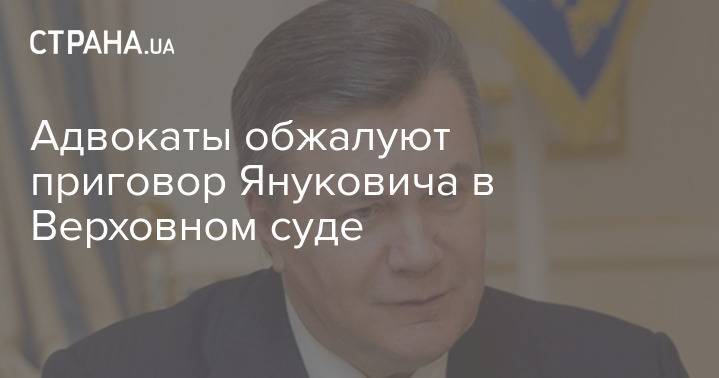 Адвокаты обжалуют приговор Януковича в Верховном суде