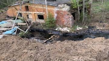 Экологическая катастрофа под Костромой: военные отравили мазутом лес
