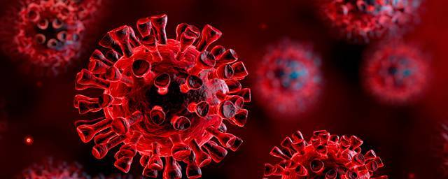 Новый антирекорд: в России за сутки выявили 15150 заболевших коронавирусом