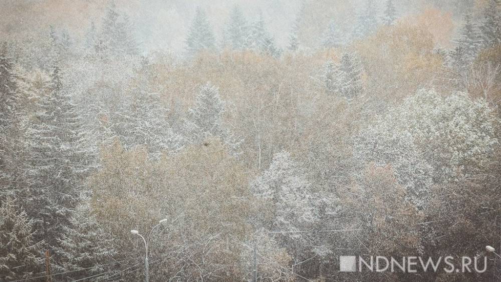 В Свердловской области ожидается мокрый снег, штормовой ветер и гололедица