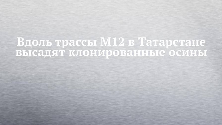Вдоль трассы М12 в Татарстане высадят клонированные осины