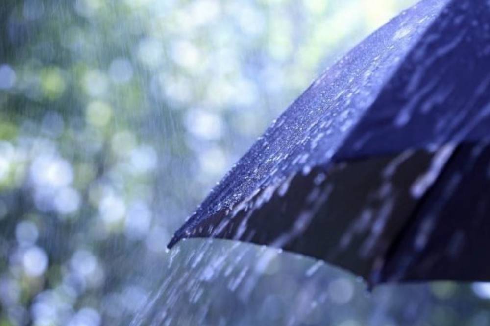 Значительные дожди по стране и мокрый снег в Карпатах: ГСЧС предупредила об ухудшении погоды в субботу