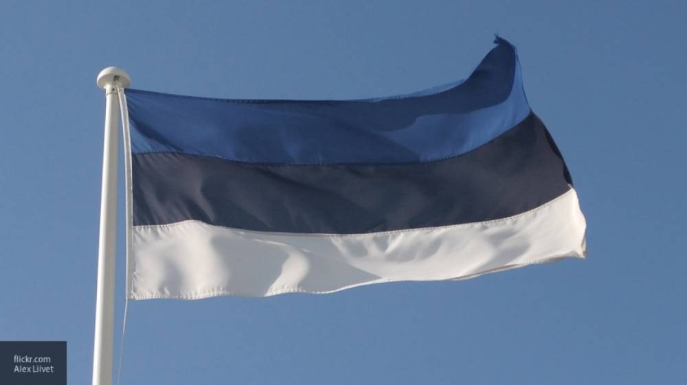 Глава Эстонии раскритиковала руководителя МВД за гомофобные высказывания