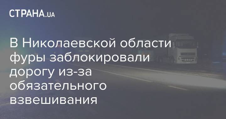 В Николаевской области фуры заблокировали дорогу из-за обязательного взвешивания