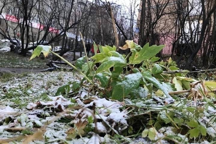 В Костромской области выпал первый снег
