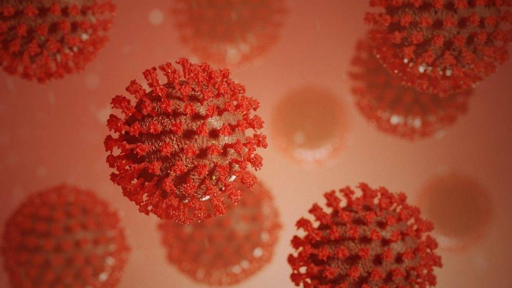 Вирусолог Алексей Аграновский допускает агрессивную мутацию коронавируса