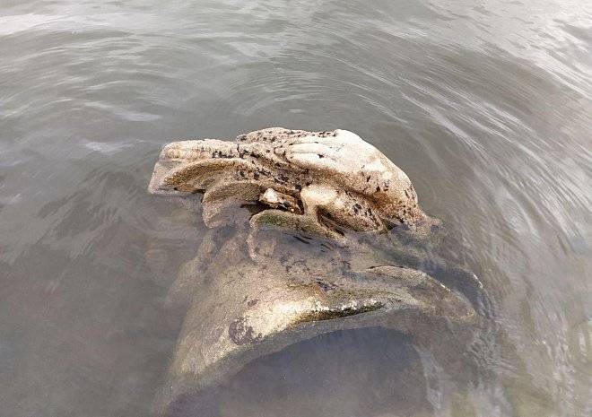 Рязанка обнаружила у пристани в Лесопарке кусок статуи