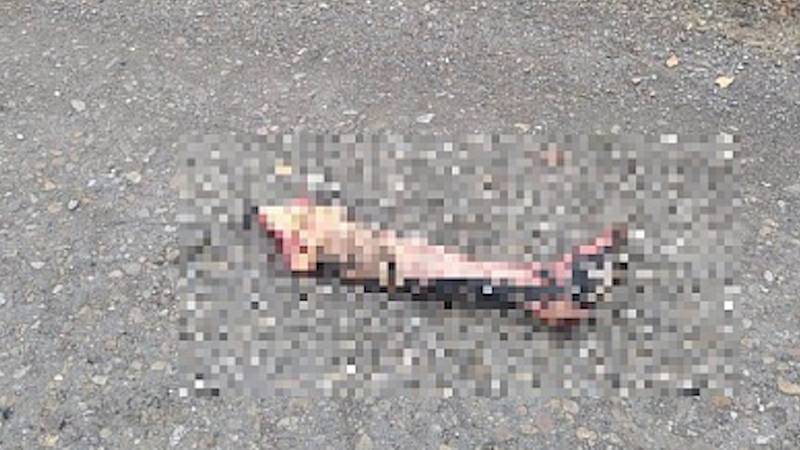 На трассе в Башкирии нашли отрезанную человеческую ногу
