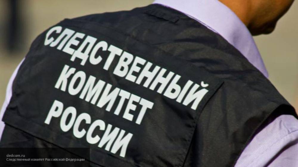 СК возбудил дело против подозреваемого в педофилии жителя Калужской области