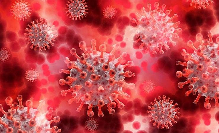 В Китае впервые обнаружили живой коронавирус на замороженных продуктах