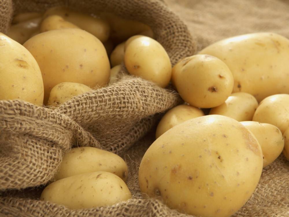 Крахмал в картофеле влияет на здоровье сосудов - врачи