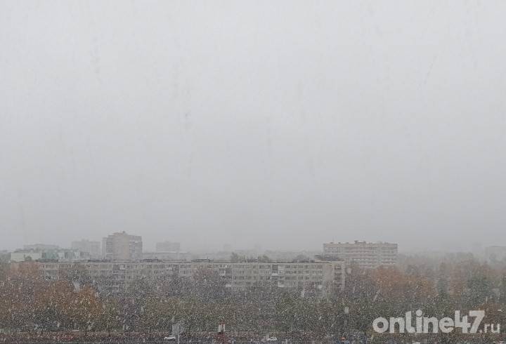 В Ленобласти и Петербурге выпал первый снег