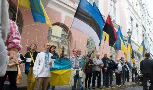 Украинские гастарбайтеры «подвели под монастырь» главу МВД Эстонии